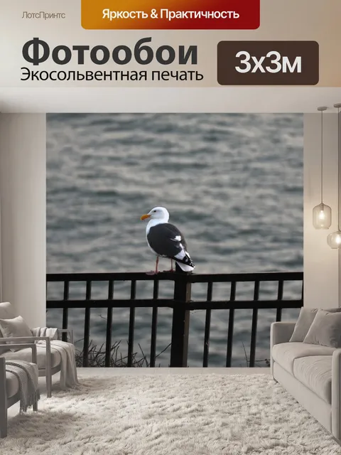 Фотообои чайка
