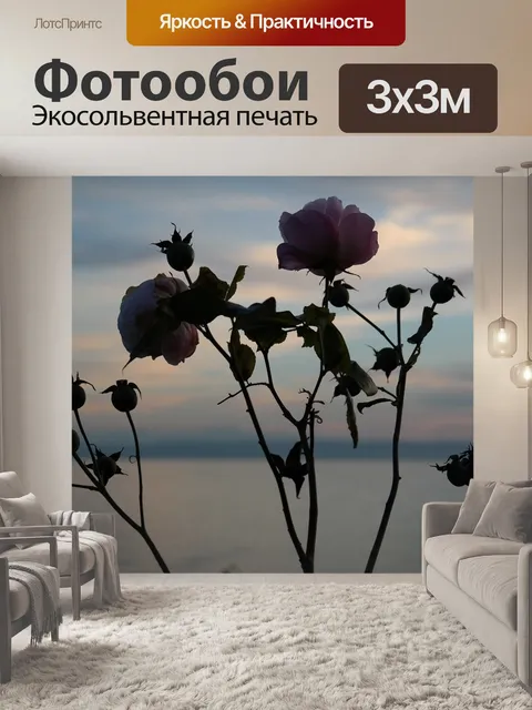 Фотообои Роза