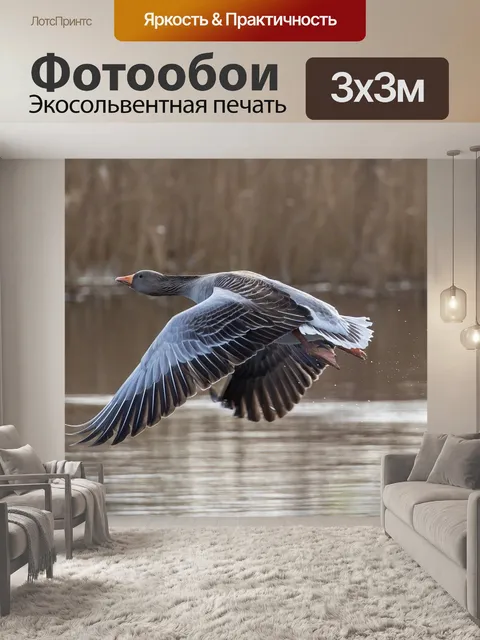 Фотообои Гусь