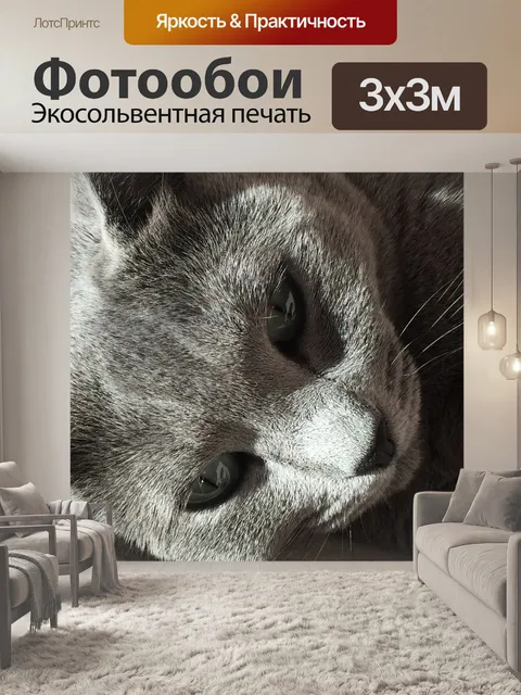 Фотообои Кошки