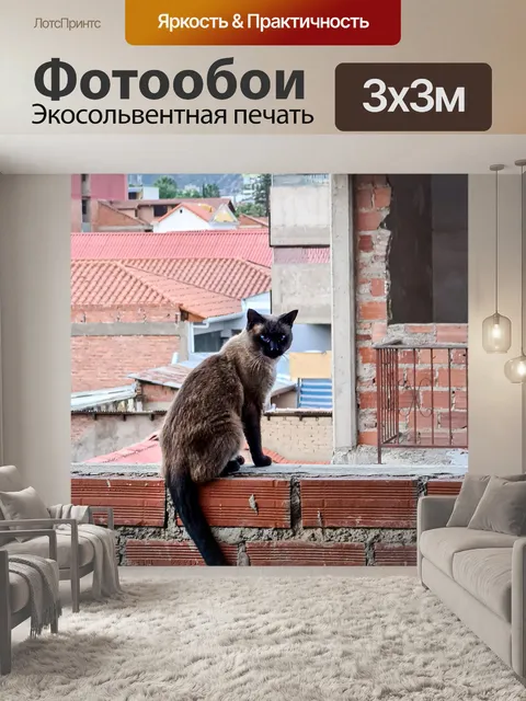 Фотообои Кошка