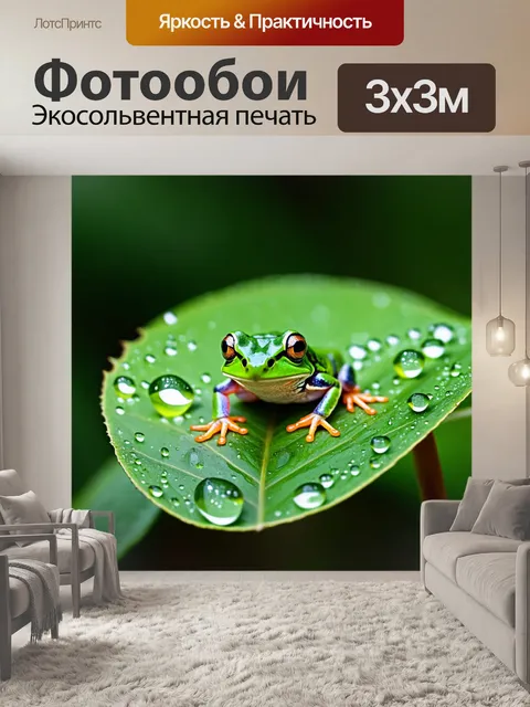 Фотообои животные в стиле минимализм с изображением лягушки на листе с каплями росы