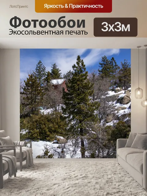 Фотообои Зимняя красная кабина