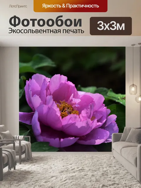 Фотообои Пион