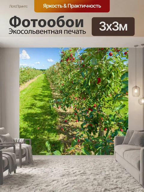 Фотообои Яблочный сад