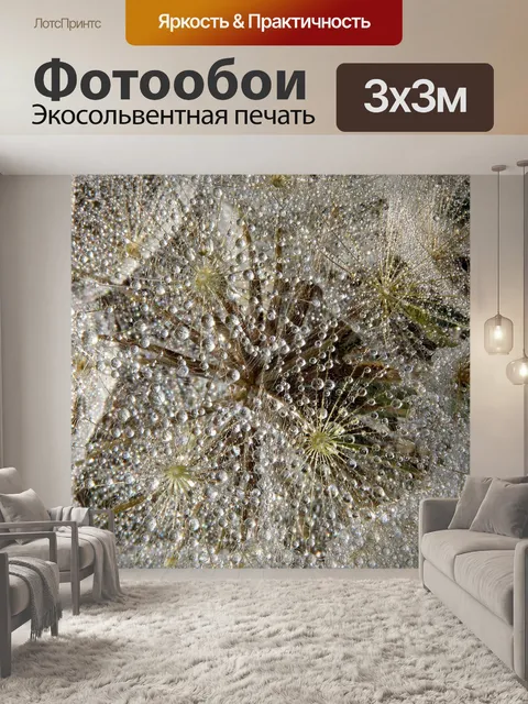 Фотообои Одуванчик