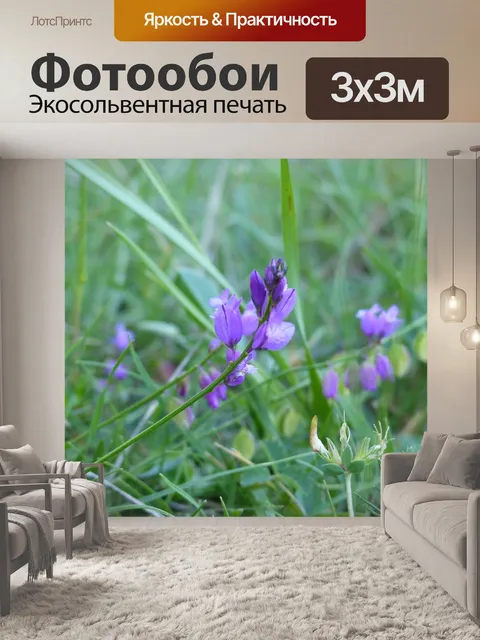 Фотообои Цветы