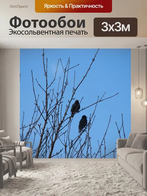 Фотообои Птицы на дереве