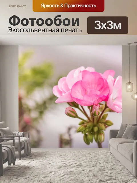 Фотообои Цветок