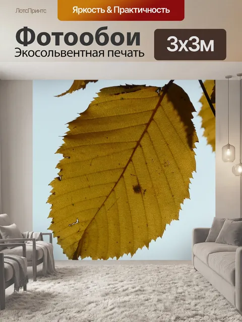 Фотообои Лист