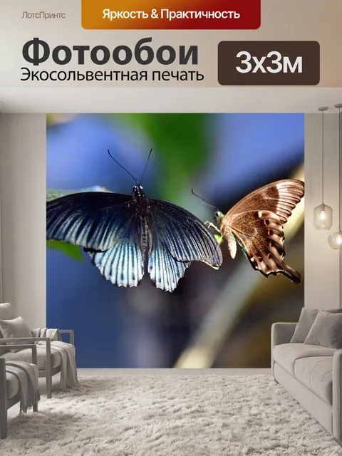 Фотообои Бабочки