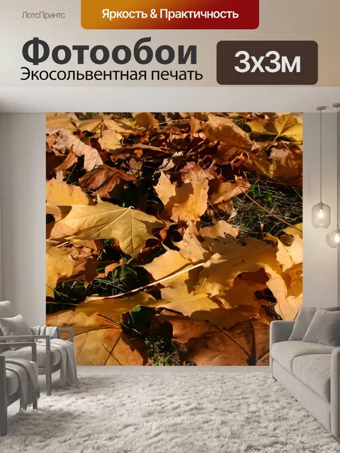Фотообои Парк