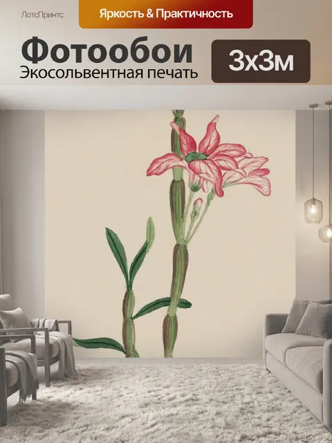 Фотообои Цветы