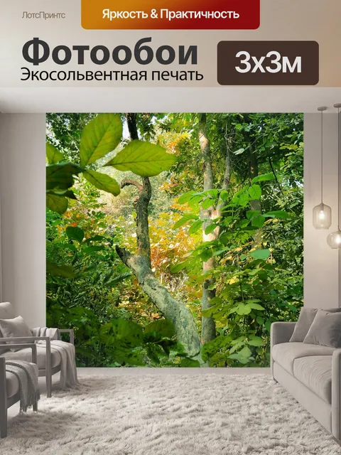 Фотообои Деревья и листья 44