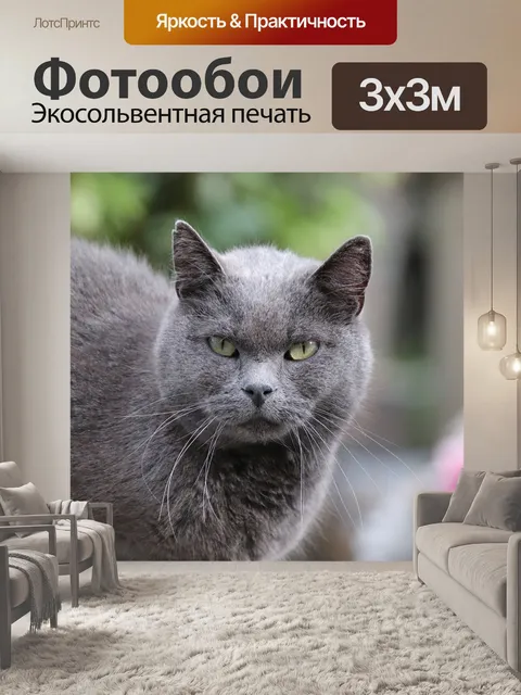 Фотообои Кошки