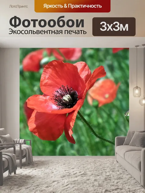 Фотообои Маки