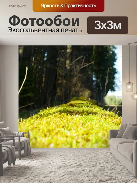 Фотообои Мох