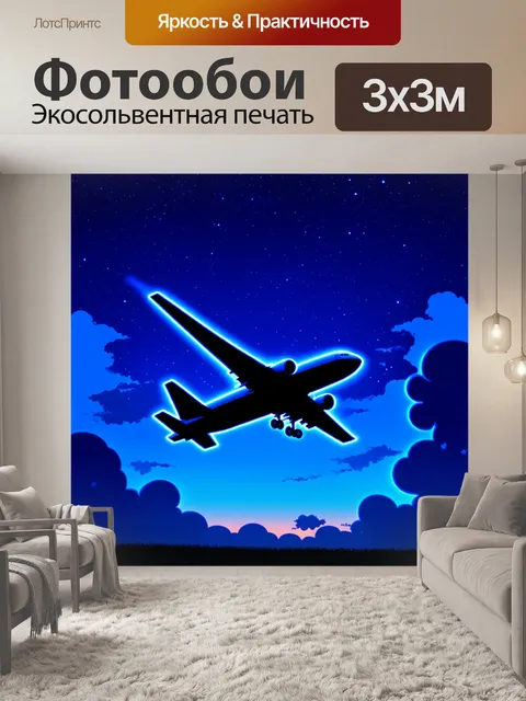 Фотообои силуэт пассажирского самолета