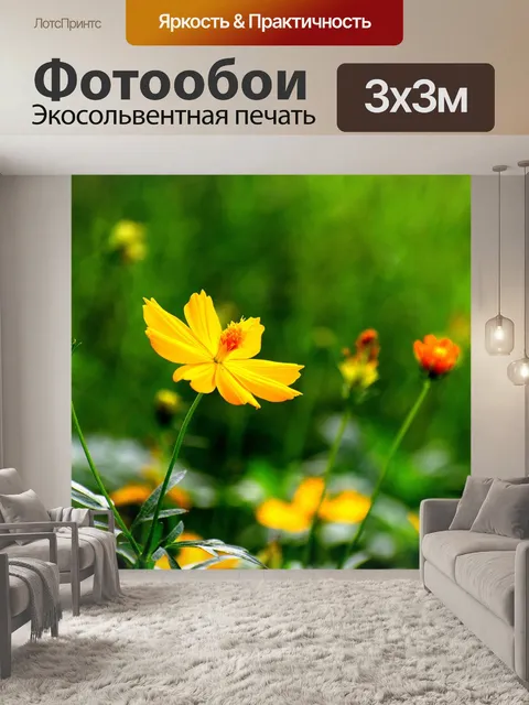 Фотообои Цветы