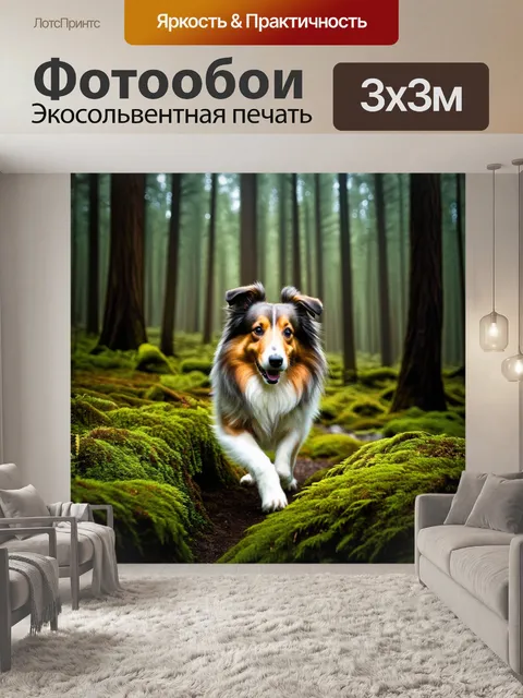 Фотообои шелти, исследующая загадочный лес, проходит среди высоких деревьев и густого мха