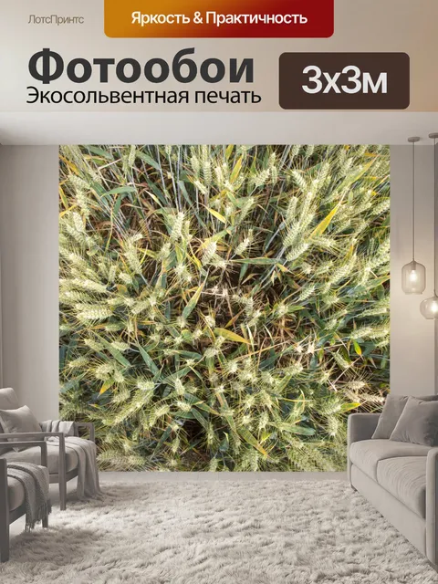 Фотообои Золотое пшеничное поле и солнечный день