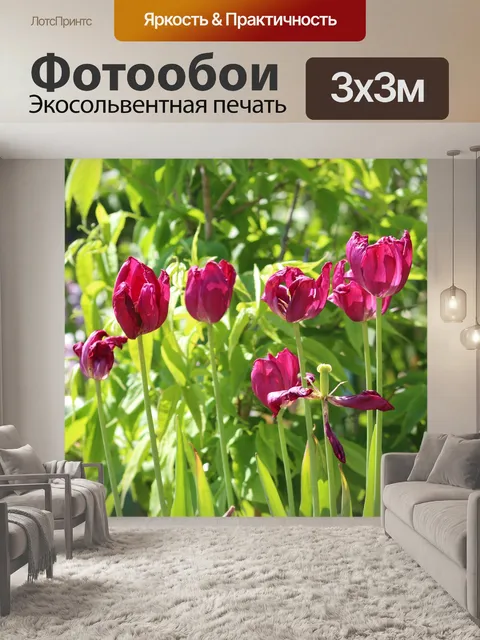 Фотообои Природа