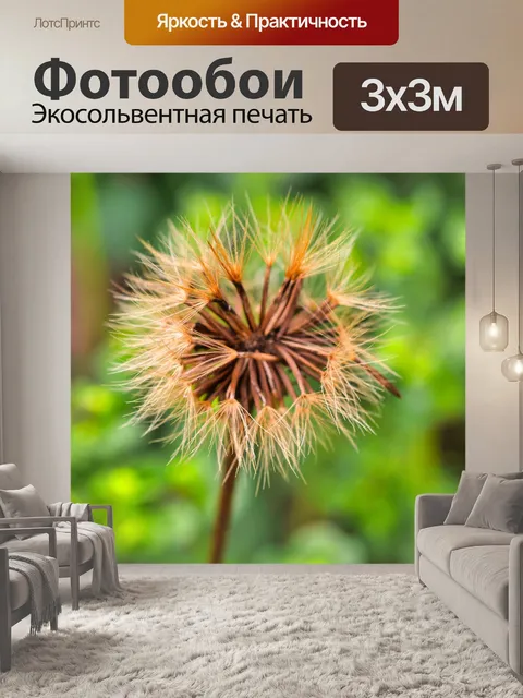 Фотообои Цветок