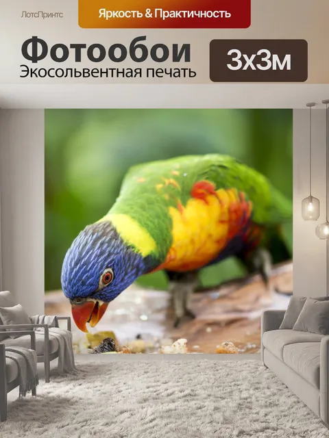 Фотообои Попугай