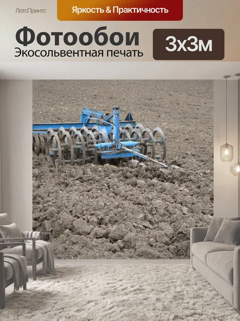Фотообои Борона
