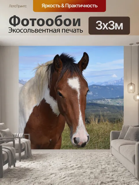 Фотообои Лошадь