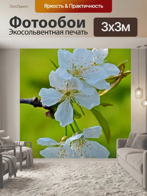 Фотообои Вишня в цвету