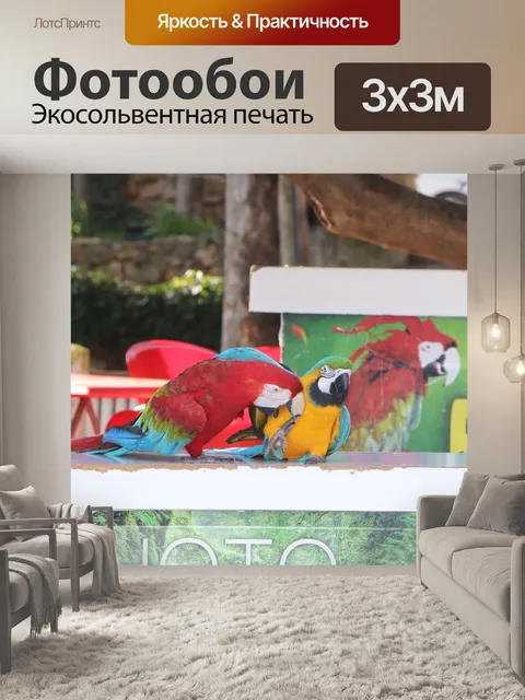 Фотообои Попугай