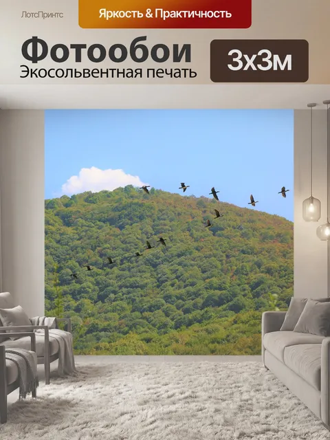 Фотообои Птицы