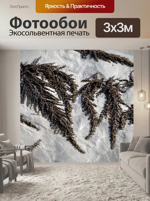 Фотообои Омывается водорослями