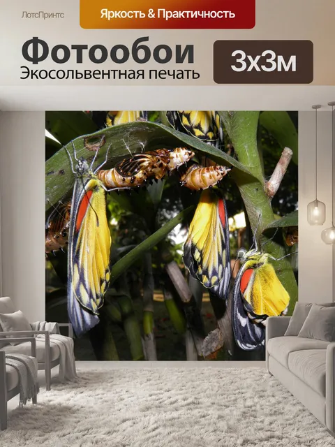 Фотообои Вылупление