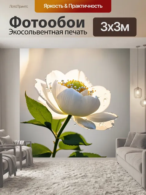 Фотообои белый пион, увит зелеными листьями, окружённый каплями росы на фоне утреннего света