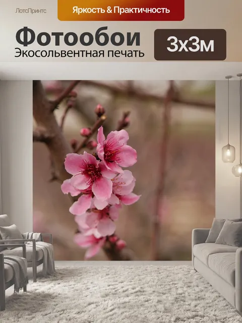Фотообои Цветы