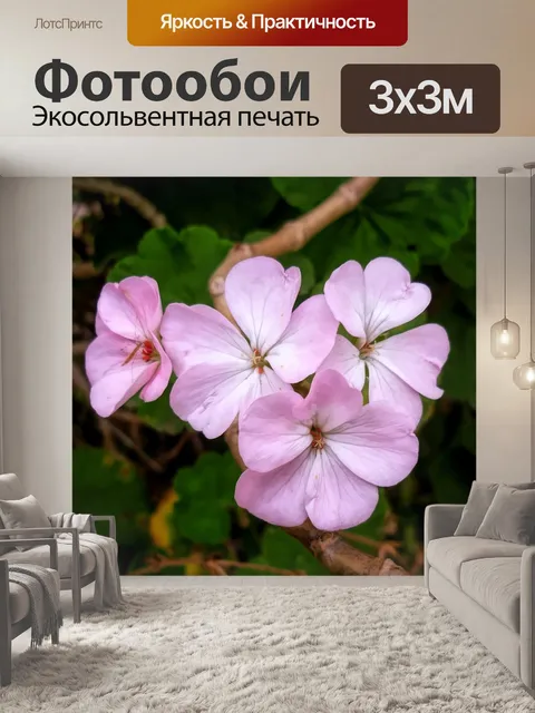 Фотообои Цветы