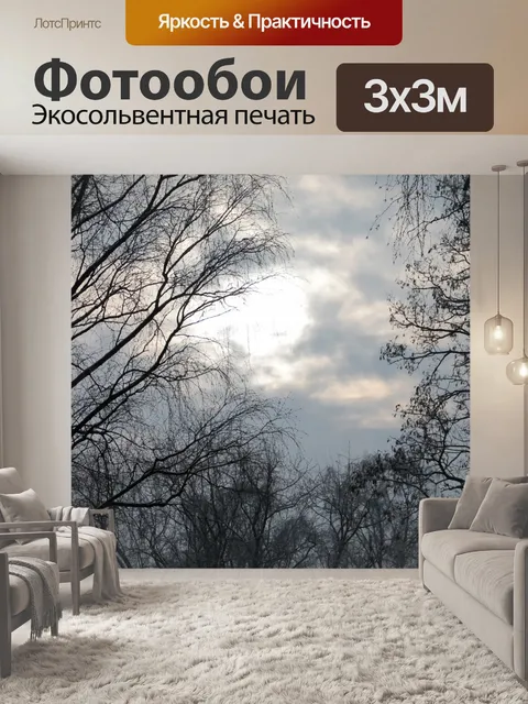 Фотообои Фон