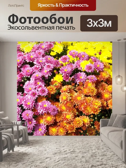 Фотообои Хризантемы