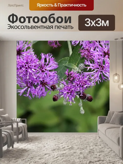Фотообои Арка фиолетовых полевых цветов