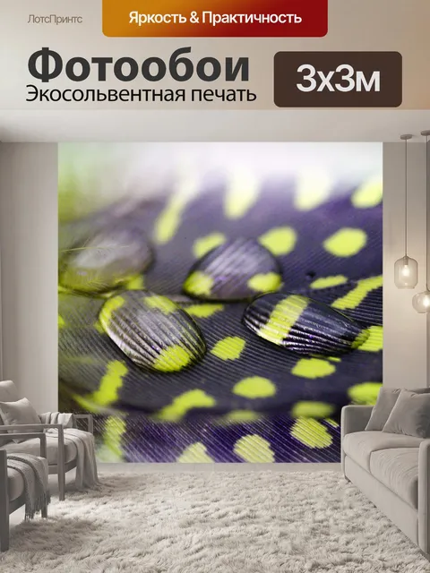 Фотообои Натюрморт фото из перьев капель