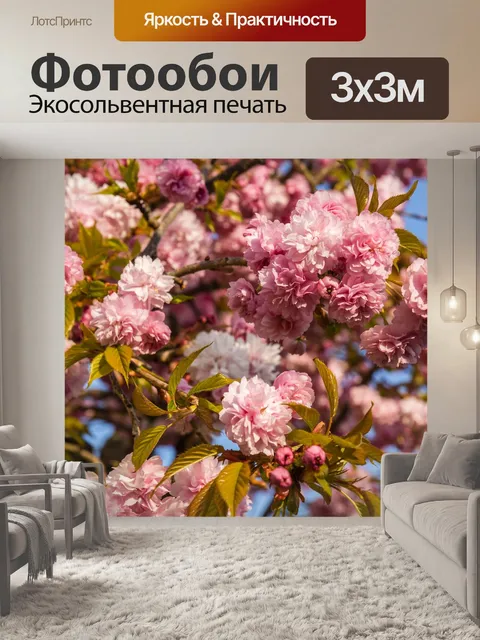 Фотообои Японская сакура