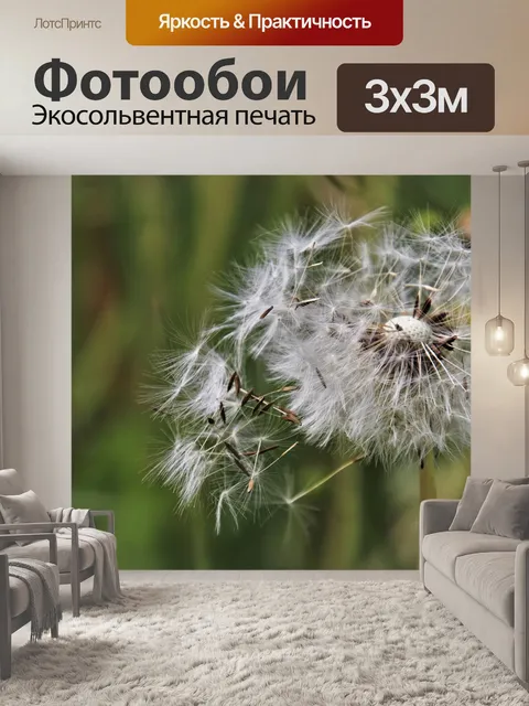 Фотообои Одуванчик