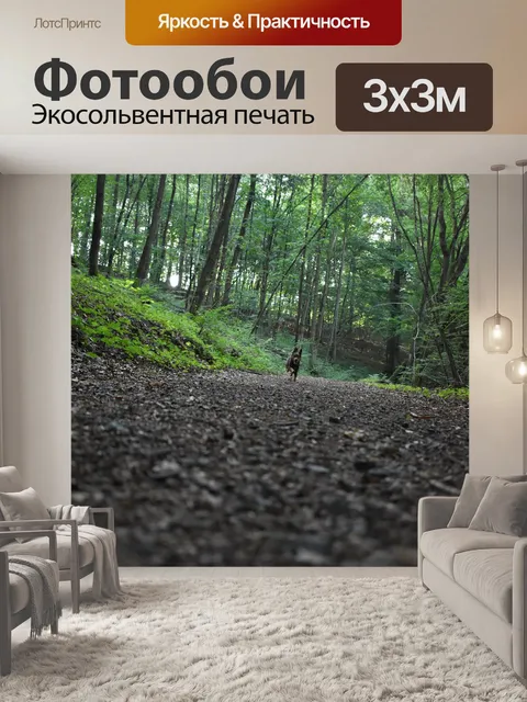 Фотообои Собака