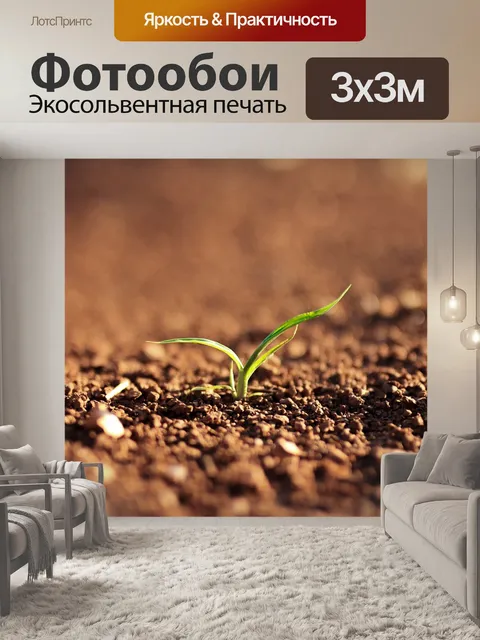 Фотообои Природа