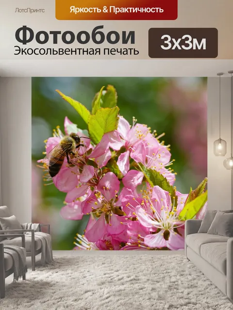 Фотообои Цветок