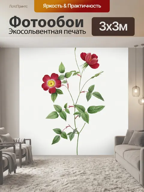 Фотообои Роза цветок винтажное искусство