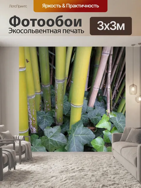 Фотообои Бамбук, соломенная растительность 02