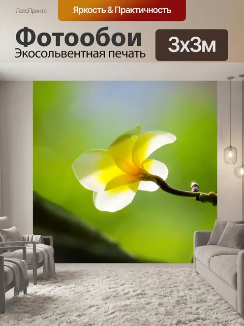 Фотообои Франжипани